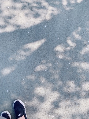 20190401-200450.jpg